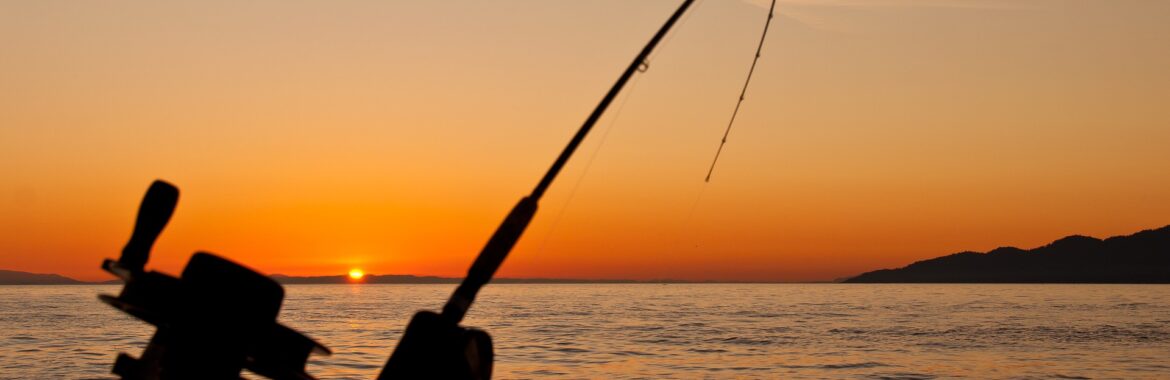What Are The Best Madeira Beach Fishing Charters?